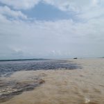 Manaus – Meeting of Waters 1
