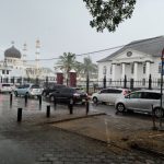 Paramaribo 7
